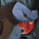 parrotea avatar