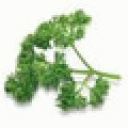 parsley avatar