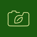 parsleyleaves avatar