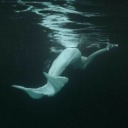 part-ofyourworld avatar