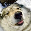 part-time-dog-girl avatar