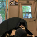 parte-del-sol13-10 avatar