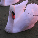 parthofstories24 avatar