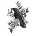 partiallystars--mostlyvoid avatar