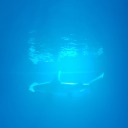 particolored-socks avatar