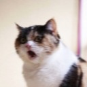 particularlight avatar