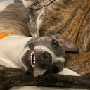 partlycloudyyy avatar