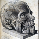 partsofspeech avatar