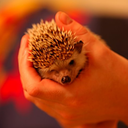 partspermillion avatar