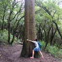 party-in-wonderland avatar