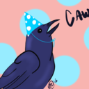 partycrow avatar