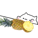 partypineapples avatar