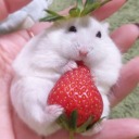 partypoison07 avatar