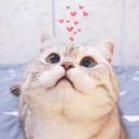 partypoison17357 avatar