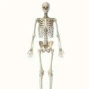 partyyhardyyyyyy avatar