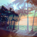 pasefika-adrift-blog avatar