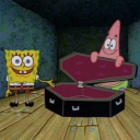 pashko-themothboy avatar