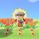 pashminacrossing avatar