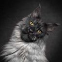 pasionaquemarropa avatar