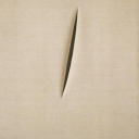 pasodeloslibres avatar