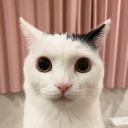 paspmusic4204 avatar