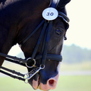 passagedownthecentreline avatar