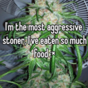 passagressive-stoner avatar