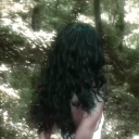 passarodelata avatar