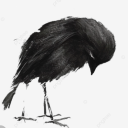 passaroferido avatar