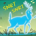 passinhosdetartaruga avatar