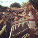 passion-for-giraffes avatar