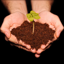 passion4plants avatar