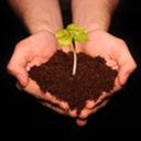 passion4plantz avatar