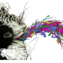 passionsunshine-blog avatar