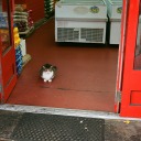 passoutpriest avatar