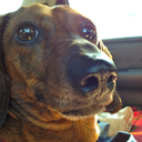 pasta-fagioli avatar