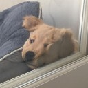 pastasaucemew avatar