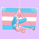 pastel-bi-day avatar