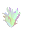 pasteldreamsxxx avatar