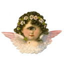 pastelgothpixie avatar