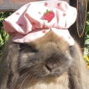 pastelporcini avatar