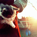 pastelportraits avatar