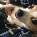 pastrydoesthings avatar