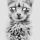 pasuxxxu666-blog avatar