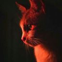 patasdede-blog avatar