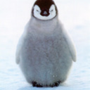 patat-penguin avatar