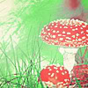 patchworkporcupine avatar