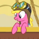 patentedhorsemolecule avatar