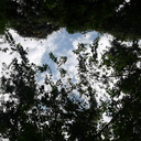 pathetic-drama avatar