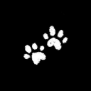 pathetic-puppything avatar